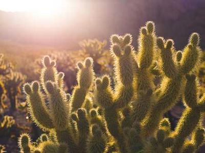 The Best Pixel 10 Cases and Accessories (2026): We’ve Tested Dozens