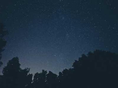 Langston Hughes: Novelist, Poet, Activist and… Translator