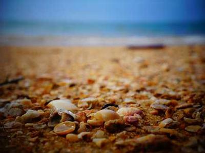 Which E-Readers I'd Recommend Buying in Amazon's Spring Sale