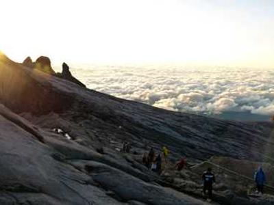 Stroke triggers a hidden brain change that looks like rejuvenation