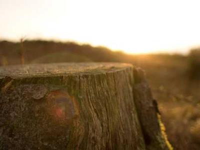 Meta Quest Promo Codes: $50 Off | March 2026