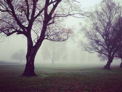 March’s Best Reviewed Fiction