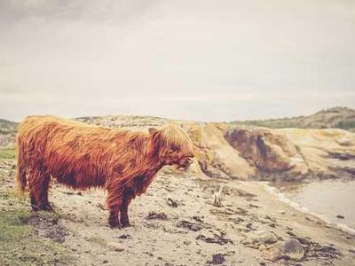 For $200 more, you can get a MacBook Air