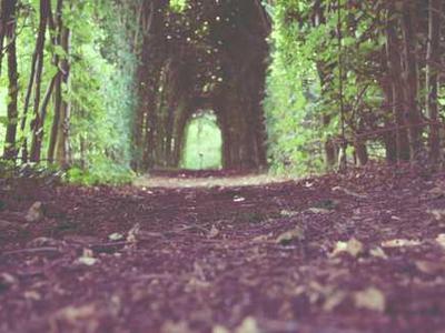 19th-Century Blues: When Science Killed God and Made Some Englishmen Sad