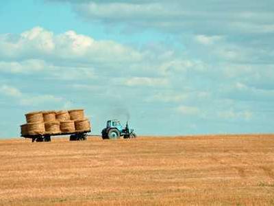 Yann Martel on Playing with Form to Tell a Story