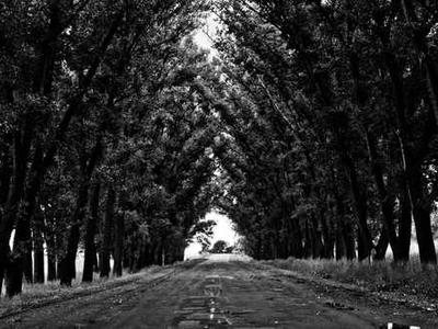 Samsung Galaxy S26 and Galaxy S26+ Review: Lacking Ambition