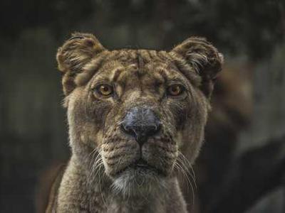 Scientists stunned as Mars dust storms blast water into space