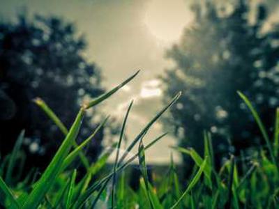 Best Noise-Canceling Earbuds: Bose, Sony, Apple, and More