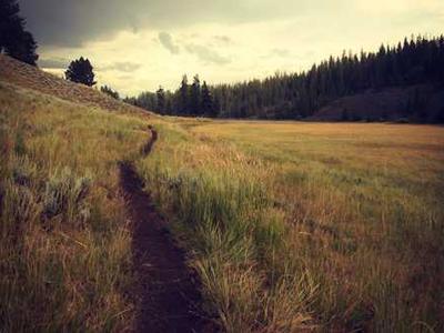 Vivo launches X300 Ultra flagship ‘designed for professional photography’