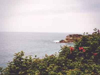 Yann Martel on Playing with Form to Tell a Story